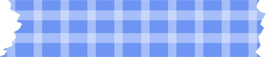 Blue Checkered Washi Tape Strip